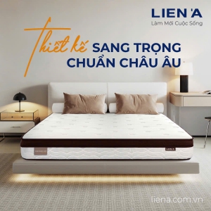 Giấc Ngủ và Sức Khỏe: Tại Sao Chúng Quan Trọng?